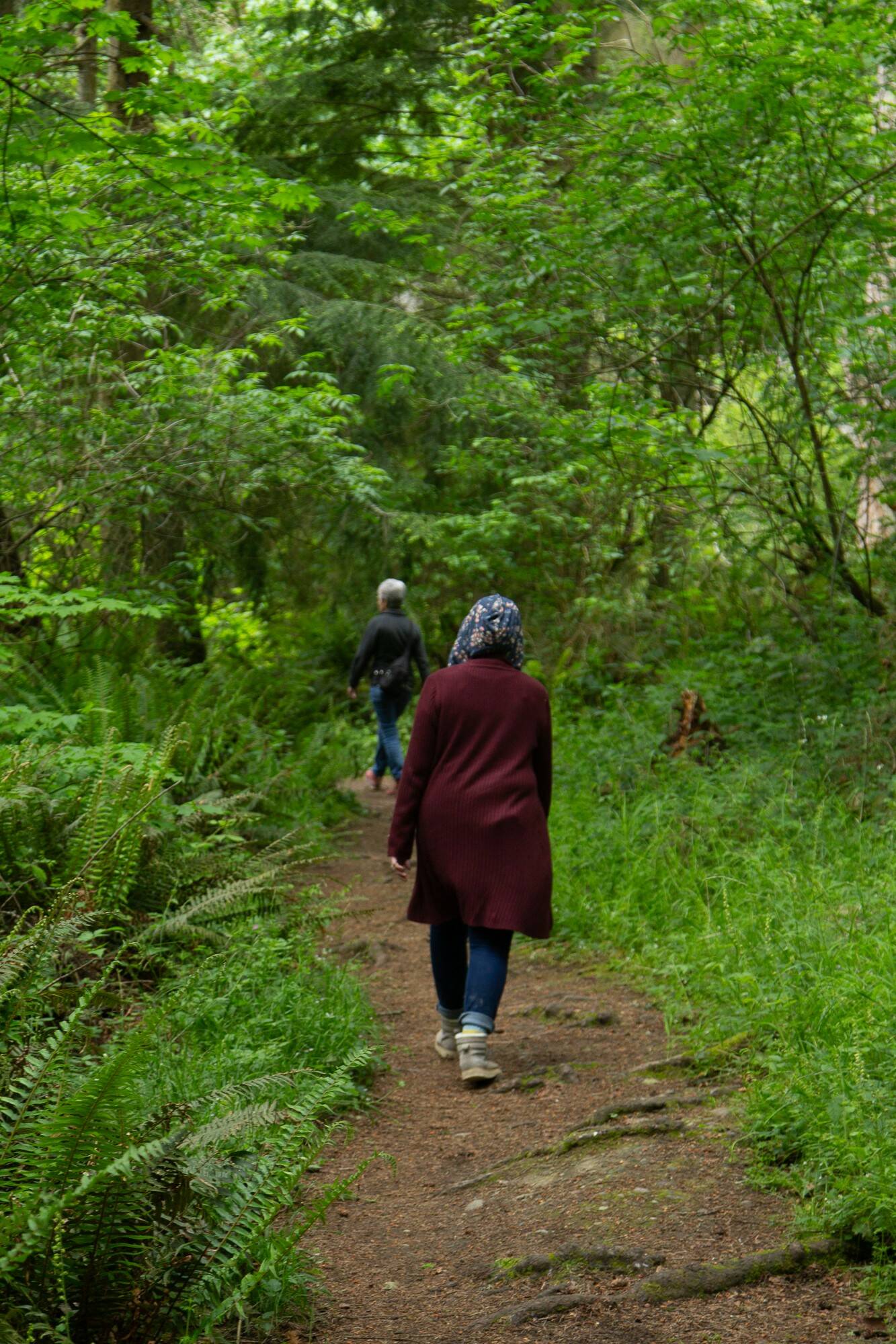 Hikers walk down the Forest Discovery Trail at South Whidbey State Park, May 23. (Photo by Caitlyn Anderson)