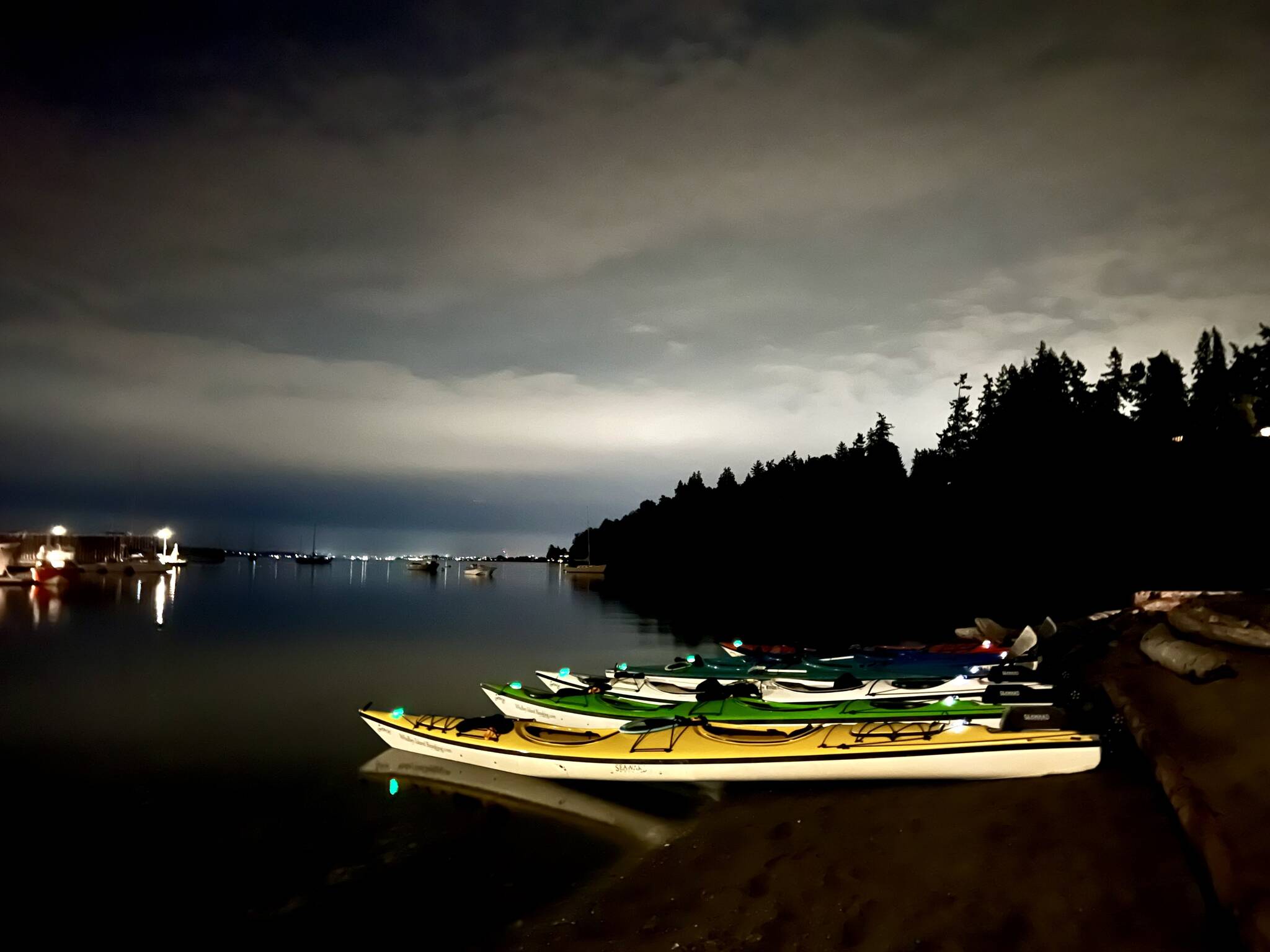Photo provided
Whidbey Island Kayaking chooses the darkest nights to hold their bioluminescence tours.
