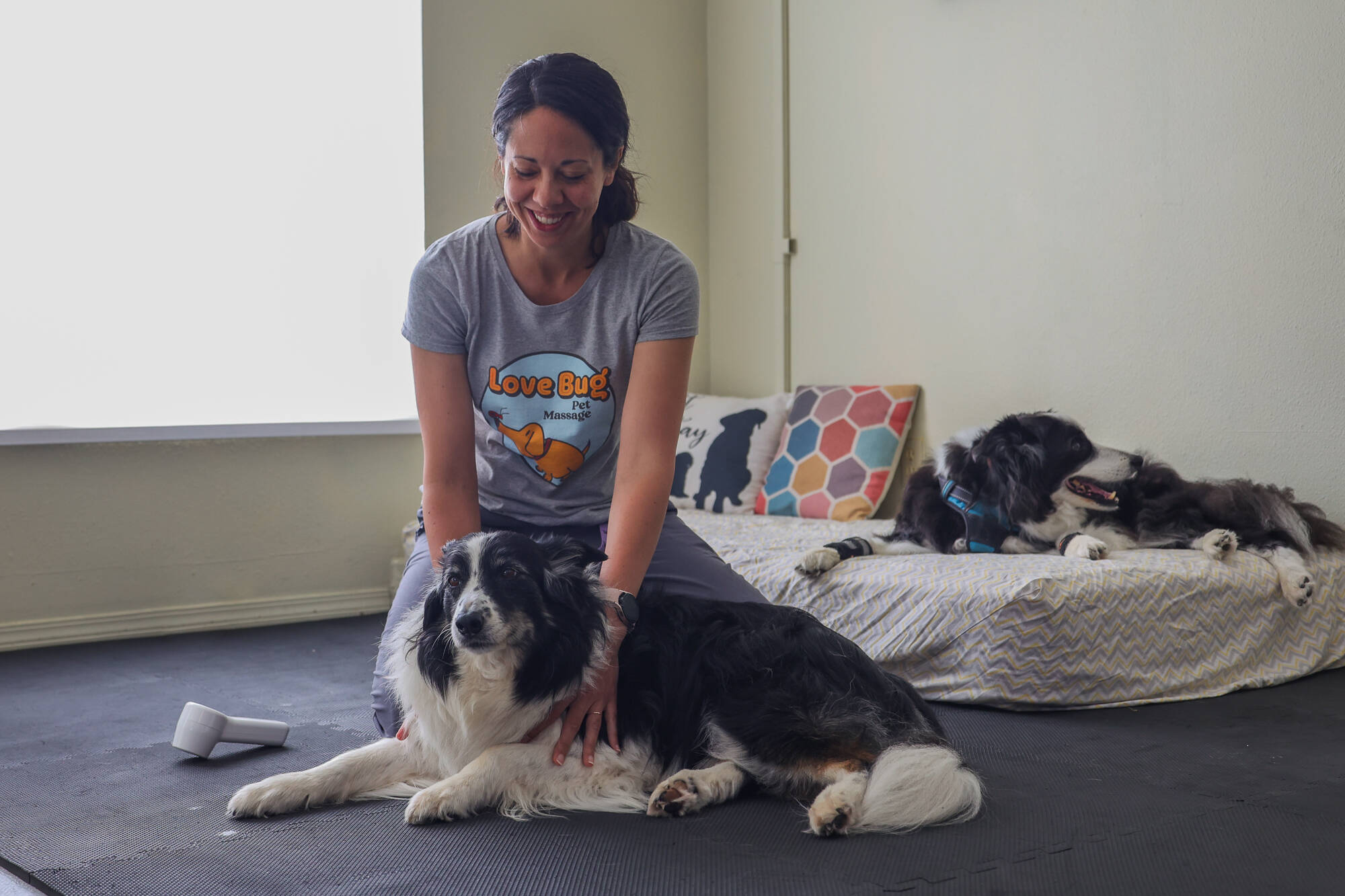 Photo by Caitlyn Anderson
Tess the border collie receives a massage from Sarah Wheeler during her weekly session.