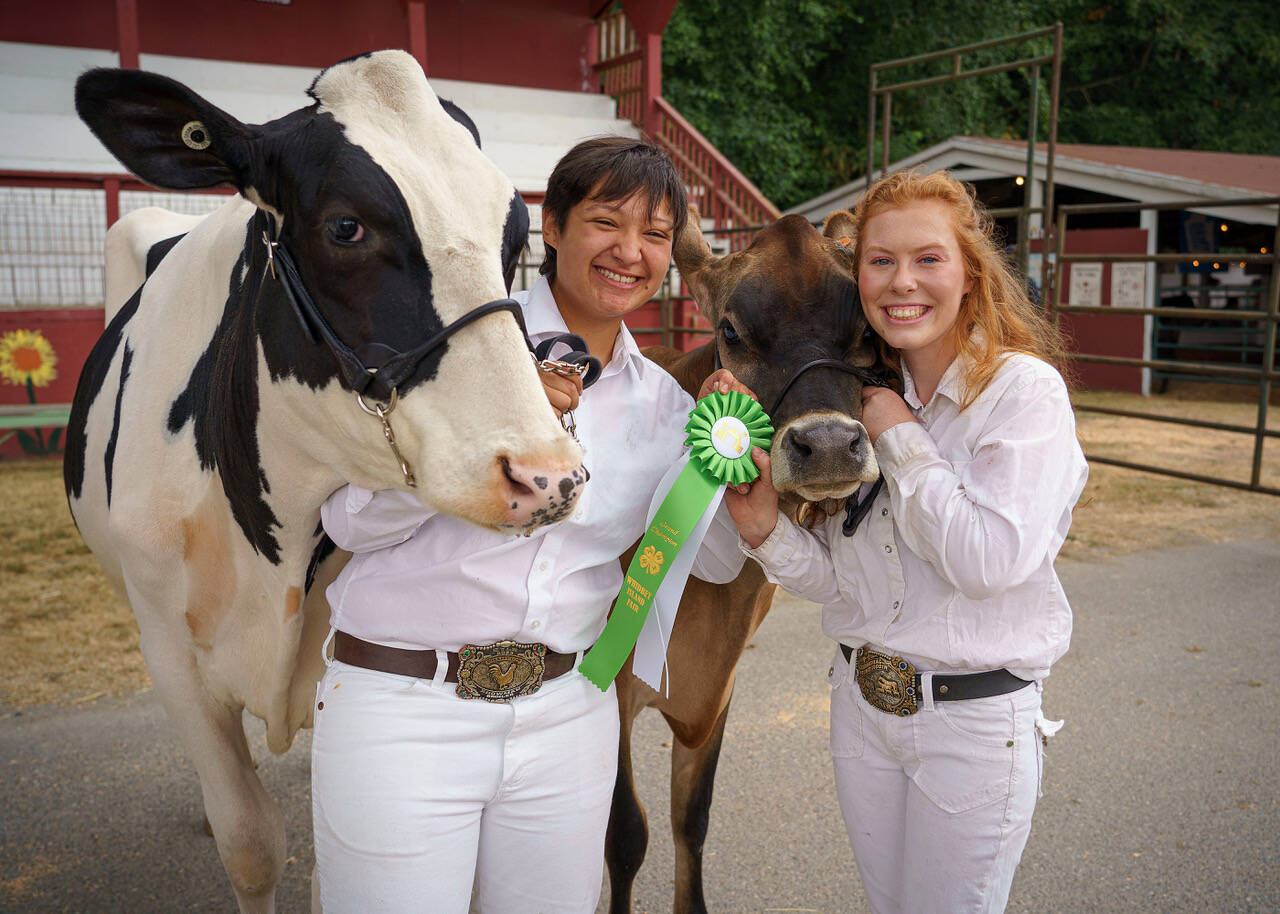 From left, Maddy Brooks, 17, of Duvall and Cadence Smith, 17, of Oak Harbor proudly display their award-winning cows Ellie and Freanna. (Photo by David Welton)