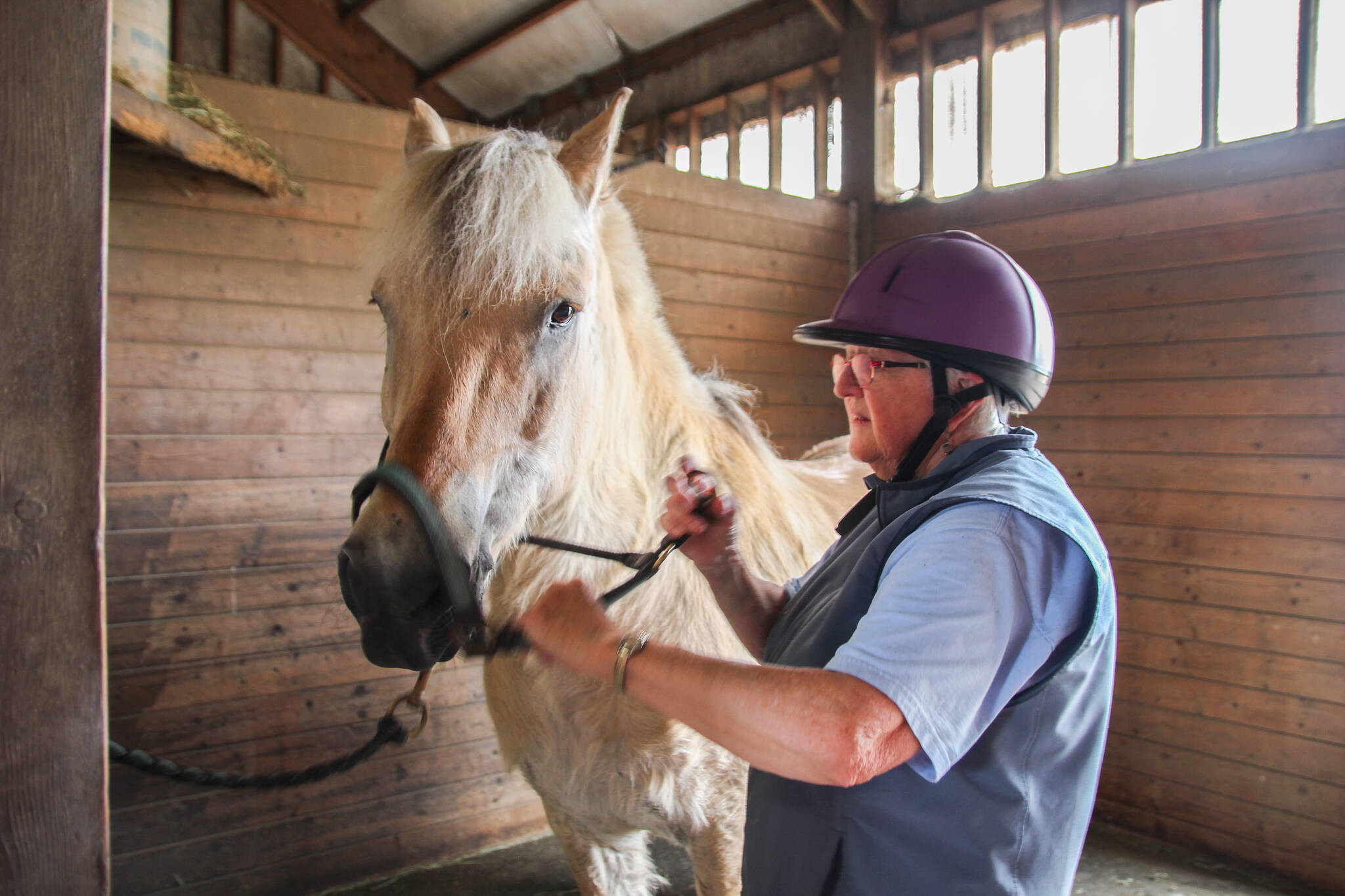 Pat Lamont removes the bridle from her horse, Merit, just before feeding him. (Photo by Luisa Loi)