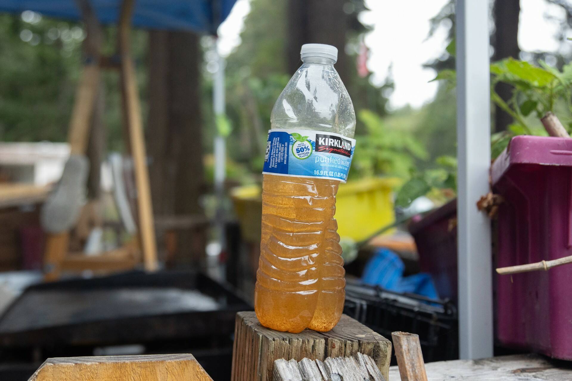 A water bottle full of tap water from the Valley High Park water supply, July 30. (Photo by Caitlyn Anderson)