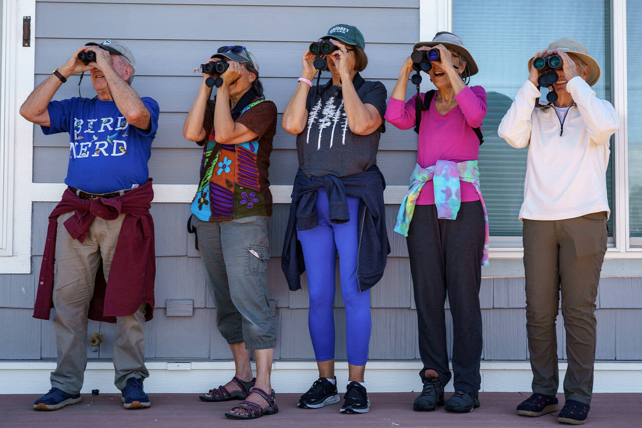 From left, birders Dan Meyer, Cathi Bower, Marge Plecki, Pam Nodus and Mary Hollen search the skies for purple martins. (Photo by David Welton)