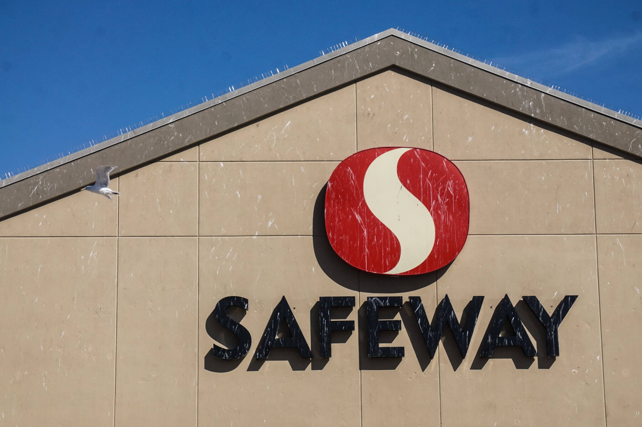 The Oak Harbor Safeway’s exterior has been decorated by seagull feces. (Photo by Sam Fletcher)