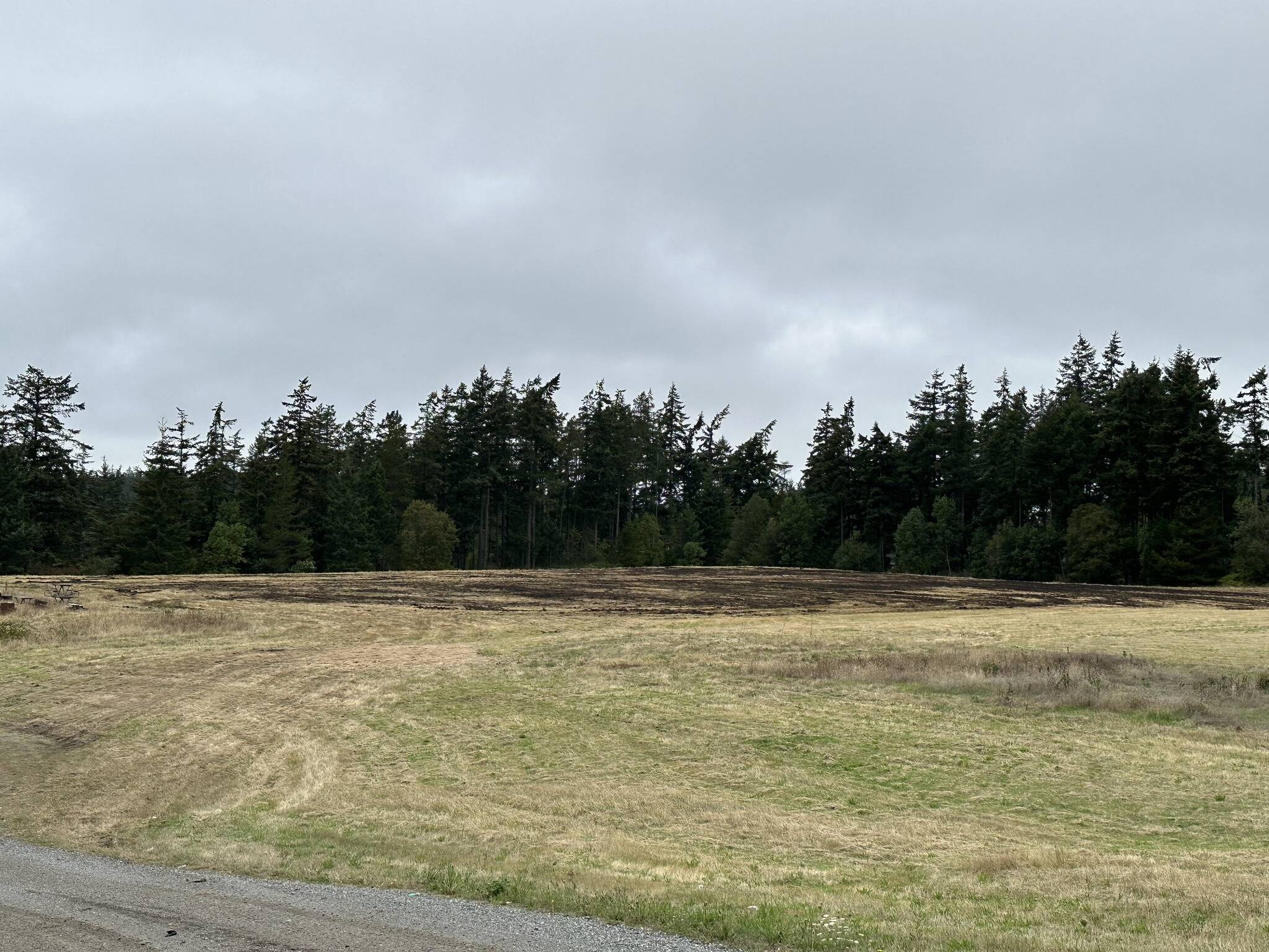 This field off North East 16th Avenue has been fertilized with about 12 to 14 weeks’ worth of biosolids, releasing a smell that reached many homes and businesses in the area. (Photo provided by the City of Oak Harbor)