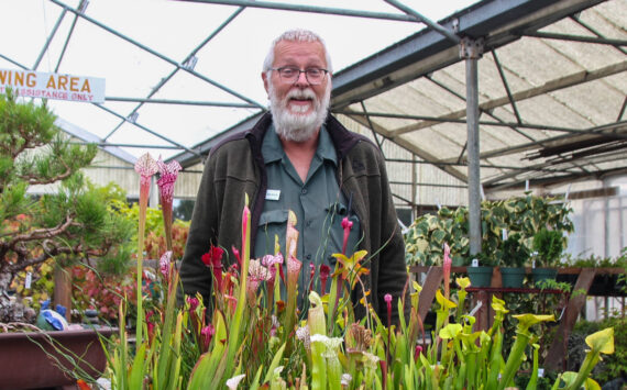 Photo by Luisa Loi
Henry VandenHaak also grows carnivorous plants.