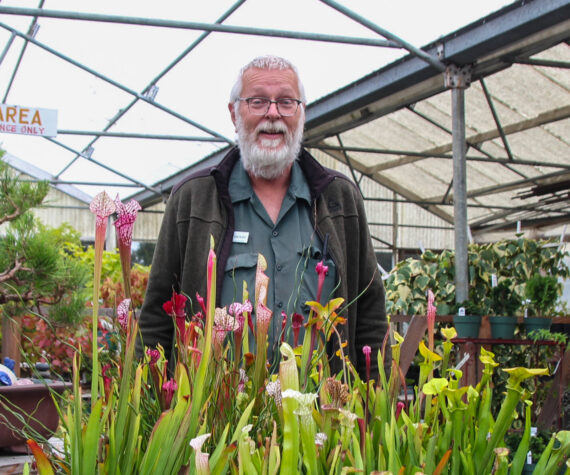 Photo by Luisa Loi
Henry VandenHaak also grows carnivorous plants.