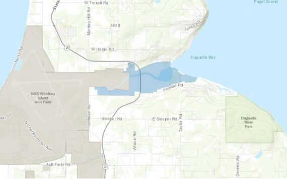 GIS image
This map shows the boundaries of Island County Diking District 3 in blue.