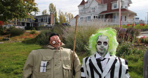 Photo by Luisa Loi
Harry the Hunter and Beetlejuice sit at Cooks Corner Park as part of the Coupeville Garden Club's display.