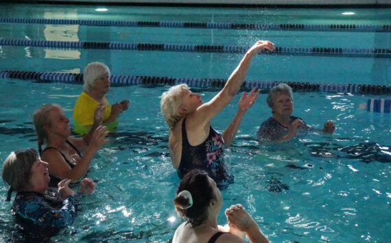 Patrons play volleyball at the John Vanderzicht Memorial Pool. (Photo by Sam Fletcher)