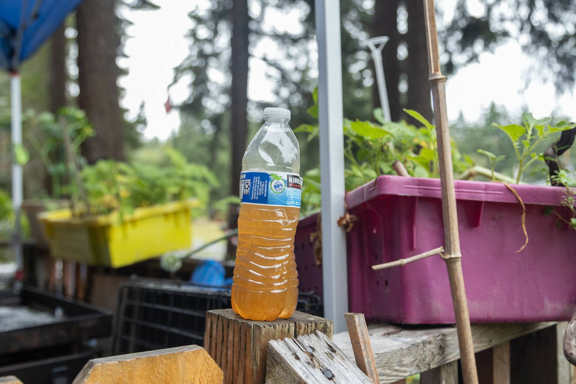 Photo by Caitlyn Anderson
A water bottle full of tap water from the Valley High Park water supply.