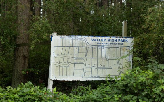 Photo by Caitlyn Anderson
The Valley High Park sign stands in the bushes.