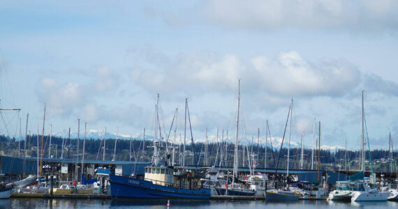 Photo by Sam Fletcher
The 50-year-old Oak Harbor Marina has been the center of many recent debates on its assets and liabilities.