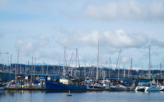 Photo by Sam Fletcher
The 50-year-old Oak Harbor Marina has been the center of many recent debates on its assets and liabilities.