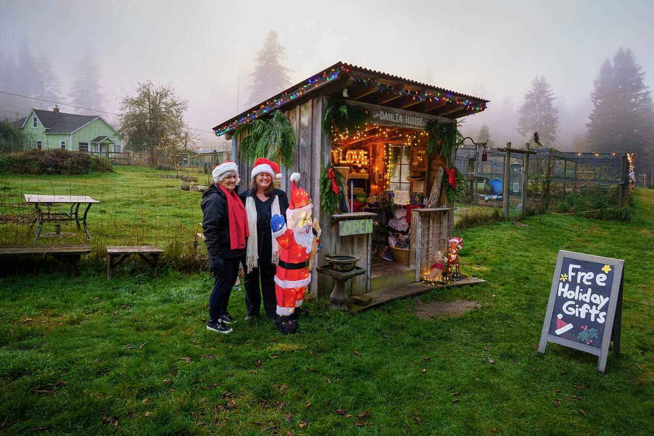 (Photo by David Welton)
Seen from the road, a sign advertises free holiday gifts at the Christmas House in Langley.