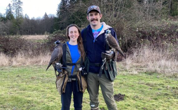 Bethany and Justin Rondeaux hold their falcons, Griffin and Sky. (Photo provided)