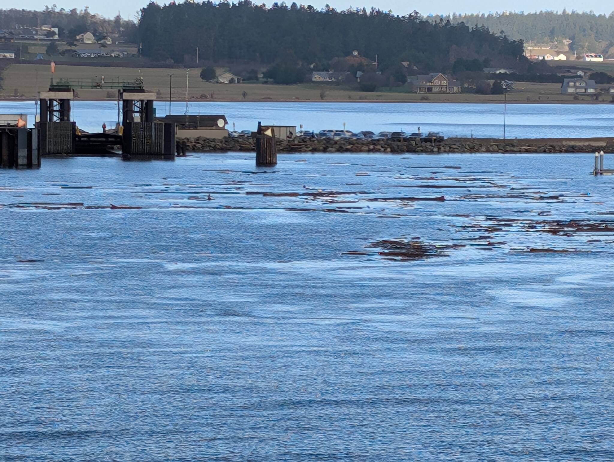 (Photo provided)
Driftwood prevented the Salish from landing at Keystone Harbor on Tuesday.