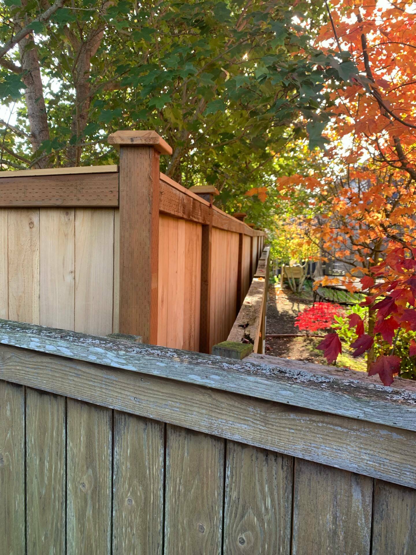 (Photo provided)
The mayor’s fence, which violates city code, runs alongside another fence compliant with city code.