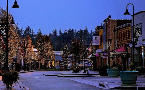 Christmas lights and banners are one of several recent projects by Oak Harbor Main Street to preserve the historic downtown space. (Photo provided)